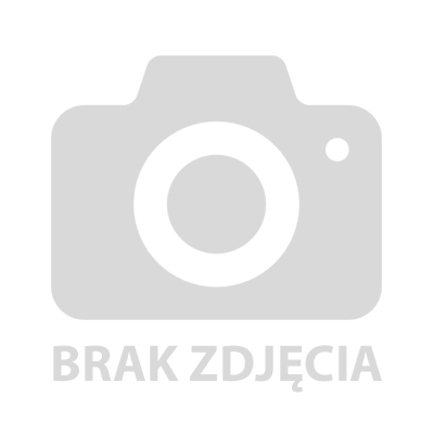 TRANSPORT ODPOADÓW POBUDOWLANYCH RUCHOMA PODŁOGA OSTRZESZÓW- BOLECHOWO