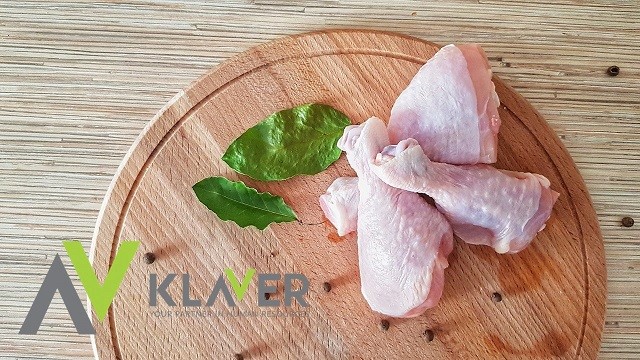 Sortowanie drobiu – praca w Holandii lub Niemczech od stycznia 2021